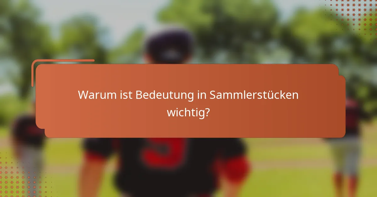 Warum ist Bedeutung in Sammlerstücken wichtig?